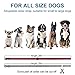 EPICKA Dog Training Collar, Rechargeable Dog Shock Collar with Remote, 3 Training Modes, Beep, Vibration and Shock, 100% Waterproof, 1600Ft Remote Range Dog Training Set for All Dogs (Black + Red)thumb 3