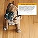 Wellness CORE Natural Wet Canned Grain Free Puppy Food,Turkey, Chicken & Herring, 12.5-Ounce Can (Pack of 12)