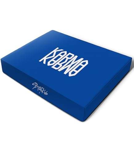 Amazon.com: Stray Kids KARMA 4th Full Album ACCORDION Ver 8 SET