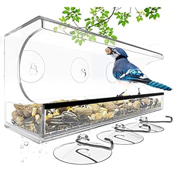 Amazon Com Gkanmore Clear Acrylic Bird Feeder Outdoor Window