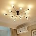Aero Snail L1697 Modern Style Flush Mount Designers Metal 10-Light Ceiling Lamp Chandelier Lighting Fixure