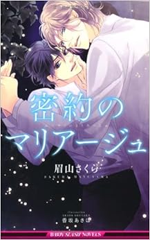 密約のマリアージュ (ビーボーイスラッシュノベルズ)の表紙