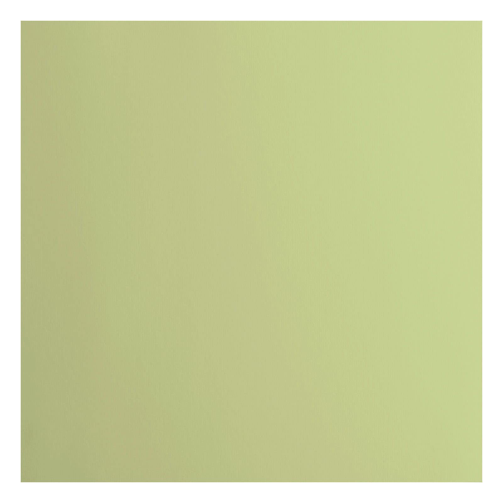 Florence Cardstock Smooth - Coloured Card Making Supplies 12 x 12 inch - Green - 20 Sheets - Coloured Paper for Scrapbooking, Card Making, Die Cutting and Paper Crafts - 216 GSM - Anise