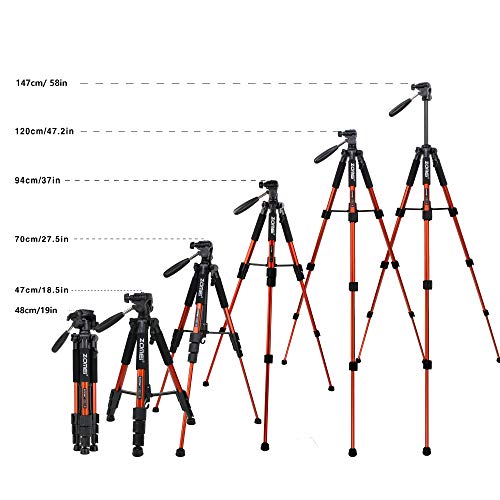 ZOMEI Compact Light Weight Travel Portable Aluminum Camera Tripod for Canon Nikon Sony DSLR Camera with Carry Case(Orange)