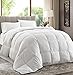 Chezmoi Collection All Season Down Alternative Comforter - Plush Microfiber Fill - Box Stitch Quilted - Duvet Insert with Corner Tabs (Oversized Queen, White)
