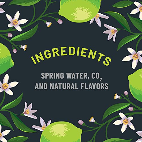 ORIGIN ORGANIC & NON-GMO LIME FLAVOR SPARKLING WATER, 12 FL OZ, RECYCLABLE ALUMINUM CANS (12 COUNT)