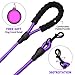 COOYOO 2 Pack Dog Leash 5 FT Heavy Duty - Comfortable Padded Handle - Reflective Dog Leash for Medium Large Dogs with Collapsible Pet Bowl