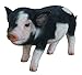 Hi-Line Gift Ltd Dark Brown Standing Baby Pig, 5