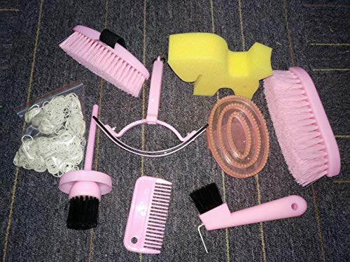 NRTFE Horse Grooming Box Set 9 Pieces Cleanning Tool Set Brushes Hoof Pick Horse Comb Sweat Scraper