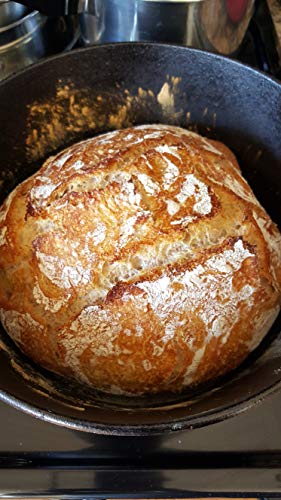 Wild Wheat Sourdough Starter Dehydrated