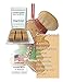 Candlecopia Gingerbread Strongly Scented Hand Poured Vegan Wax Melts, 12 Scented Wax Cubes, 6.4 Ounces in 2 x 6-Packs
