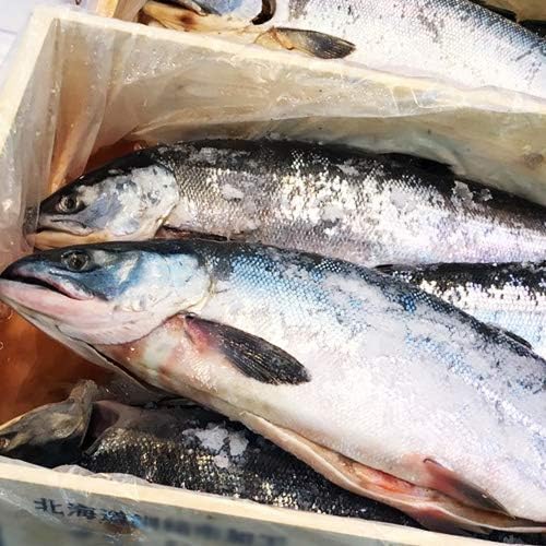 Amazon ウオス 札幌の水産直営店 進風水産 国産 新巻鮭 塩漬け 北海道産 2kg 鮭 サケ まるごと一本 産地直送 贈答 ギフト 1尾 1本姿まんま 加工なし ウオス 進風水産 鮮魚 通販