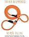 Mighty Paw 6' Slip Dog Leash - Gentle Correction with No More Pulling - Rock Climbers Rope for Ultimate Strength - Universal Design - One Size Fits All - Control When You Need It - Reflective Thread