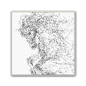 Framed Canvas Wall Art Abstract Horse Canvas Prints Home Artwork Decoration for Living Room,Bedroom - 16x16 inches