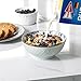 DOWAN Ceramic Cereal, Soup, or Pasta Bowls, Set of 4 Assorted Designs, Blue and White