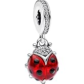 ARVALILS 925 Sterling Silver Charms fits Bracelets and Necklace Pendant Bead Charms Jewelry Gift for Women Family Friends