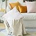 MIULEE Pack of 2 Pink Velvet Throw Pillow Covers 18x18 Inch Soft Solid Decorative Square Set Cushion Cases for Spring Couch Sofa Bedroom