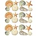 Wallies Vinyl Wall Decals, Peel and Stick Seashell Stickers Beach House Decor, 24 Pc