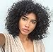Short Curly Synthetic Hair Wigs Andromeda Afro Kinky Curly Heat Resistant Fiber Hair Wig for African American Black Women