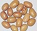 Adobe Milling Bolita Beans 2lb bag