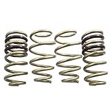 ARK Performance LS0704-0910 GT-S Lowering Spring