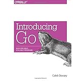 Introducing Go: Build Reliable, Scalable Programs