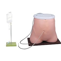 Peritoneal Dialysis Model,Medical Training
