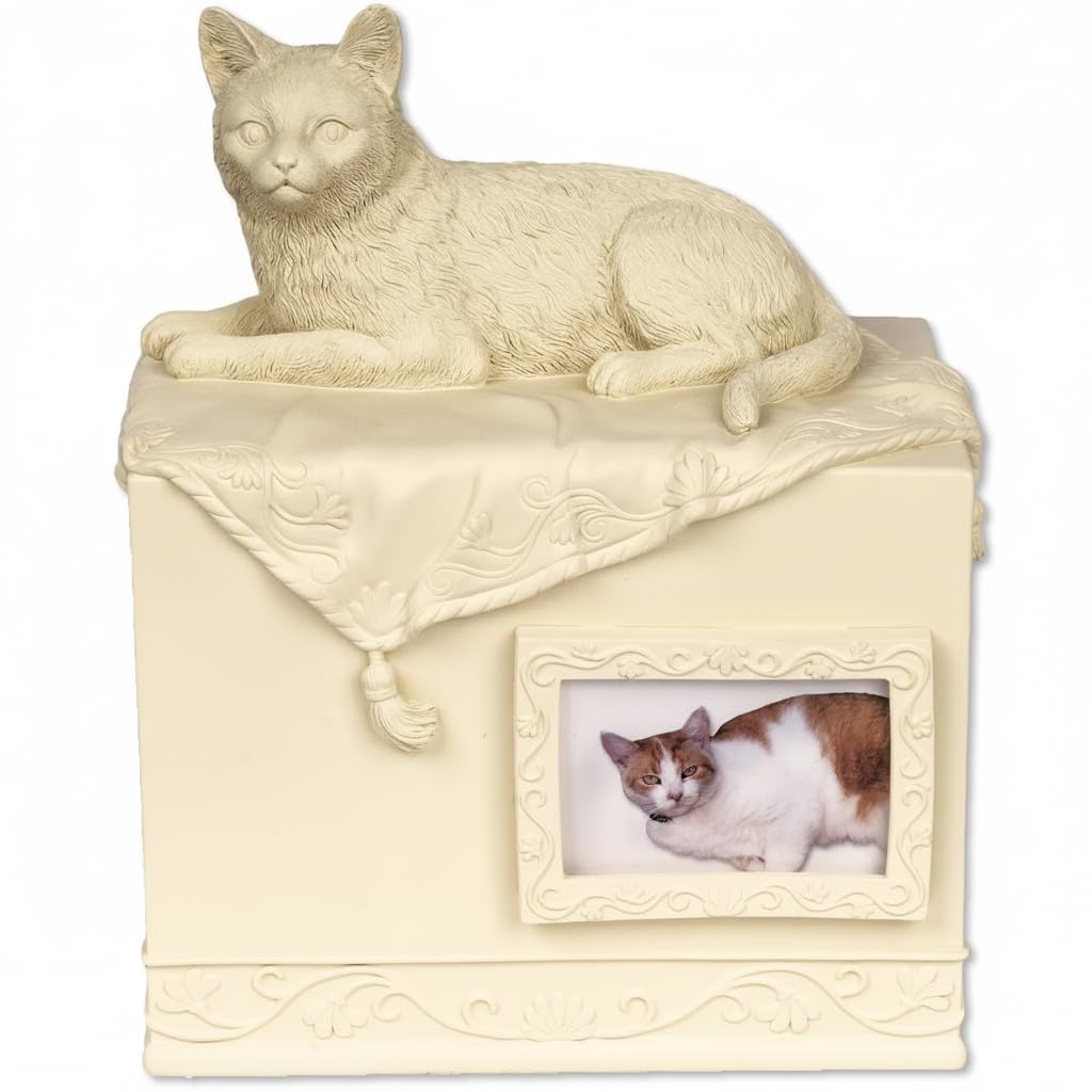 AngelStar Pet Box Urn Cat Beloved Companion, Metal, Multi-Colour, 15.5 x 21 x 29 cm