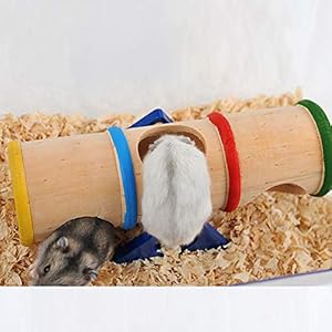 1PC Hamster Altalena Colorata di Legno Cilindro Hamster Tubi Altalena Giocattolo Piccoli Animali Parco Giochi Divertirsi… Marca: Asien 1PC Hamster Altalena Colorata di Legno Cilindro Hamster Tubi Altalena Giocattolo Piccoli Animali Parco Giochi Divertirsi…