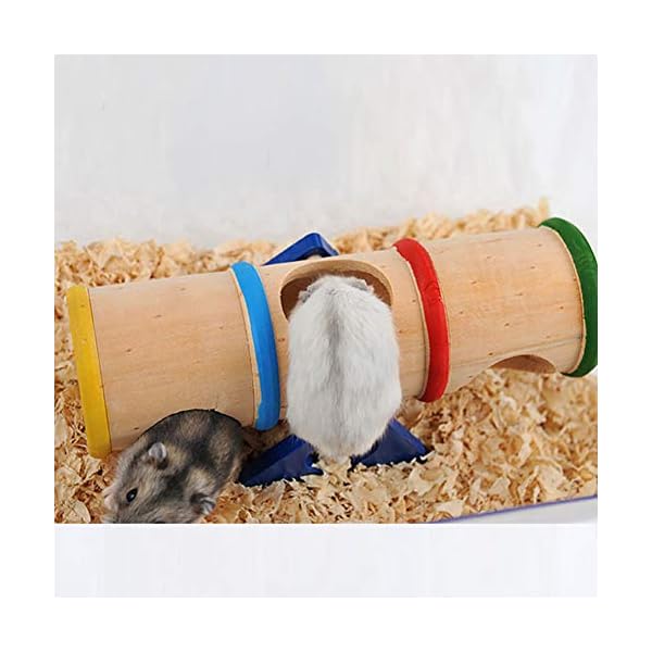 1PC Hamster Altalena Colorata di Legno Cilindro Hamster Tubi Altalena Giocattolo Piccoli Animali Parco Giochi Divertirsi… Marca: Asien 1PC Hamster Altalena Colorata di Legno Cilindro Hamster Tubi Altalena Giocattolo Piccoli Animali Parco Giochi Divertirsi…