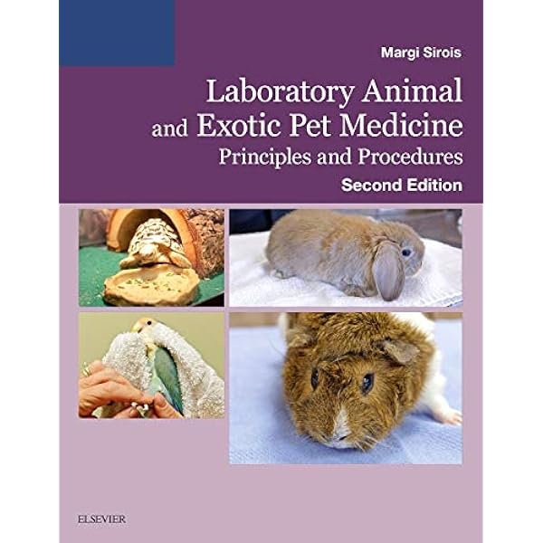 Small Animal Surgical Nursing: 9780323312271: Medicine & Health