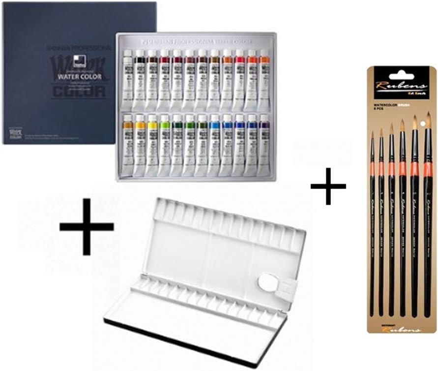Shinhan Professional Watercolor Paint 7.5 ml Tubes 24 Color Set + Heungil Aluminum Watercolor Palette 30 Well + Water Color Round Brush set/6pcs