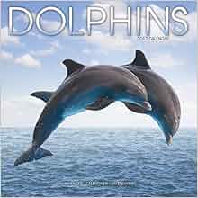 Dolphin Calendar Ocean Calendar Calendars 2016 2017