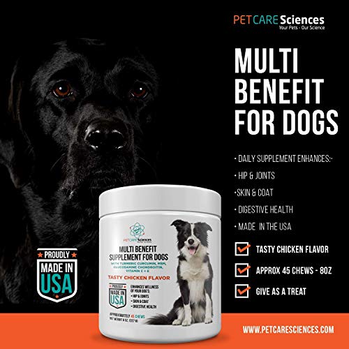 Daily Dog Multivitamin Supplement for Senior Dogs Hip and Joint, Skin and Coat, Digestive Health Supplement with Turmeric Curcumin, MSM, Glucosamine Chondroitin, Vitamin C, Vitamin E Made in The USA