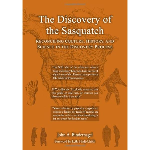 Sasquatch: The Apes Among Us: the Apes Among Us: Green, John