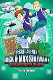 Secret Agents Jack and Max Stalwart: The Fate of the Irish Treasure: Ireland (Book 3) (Secret Agents Jack and Max Stalwart Series)