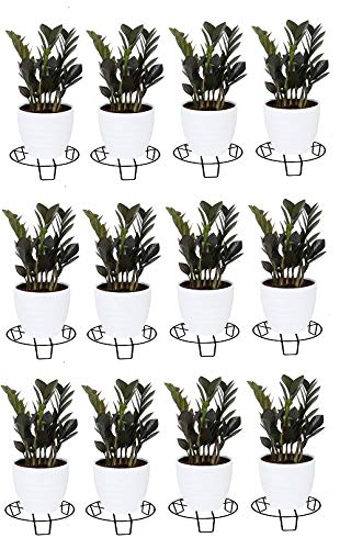 Shiyon Plant Pot Stand for Balcony-Black, Pack of 12 (Size:- Height-10, Diameter 26).