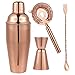 Rose Gold Cocktail Shaker Set (4 Pieces)