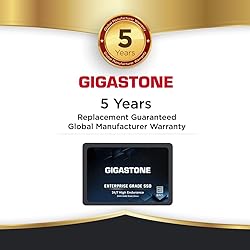 Gigastone Enterprise SSD 4TB NAS SSD Drive Cache