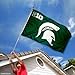 MSU Spartans Big 10 3x5 Flag