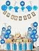 1st Birthday Boy’s Decoration kit- Complete One-year Party Decoration set- Beautiful pastel Colors for First Baby Boy’s Birthday - 2 Party Banners - Latex pearl Balloons-Paper Pompom Decorations-