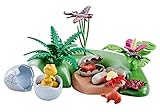Playmobil 6597 Dinosaurs Babies with Nest, Multi