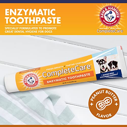 Arm & Hammer Complete Care Enzymatic Dog Toothpaste, 6.2 oz Dog