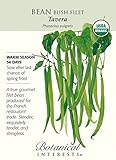 Tavera Bush Bean Seeds - 15 g - Certified Organic
