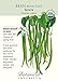 Tavera Bush Bean Seeds - 15 g - Certified Organic
