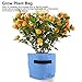 5 Gallon Grow Bag Aeration Grow Plant Bag Thickened Nonwoven Plant Fabric Pots with Handles(Blue)thumb 1
