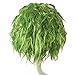 Xcoser Joker Wig The Dark Knight Joker Cosplay Short Grass Green Fluffy Curly Hair