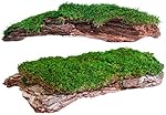 Galapagos Basking Bark, Sheet Moss (2 Pack)