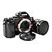 CamDesign Body Cap & Camera Rear Len Cover Set Compatible with Sony E-Mount NEX Cameras A7II,III A7R III A9 A7 A7R A7S A6500 A6300 A6000 A55 A65 A77 A99 A900 A700 A580 A560 NEX-7 NEX-6 NEX-5T NEX-5R