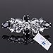 Santfe Fashion Crystal Rhinestone Flower Shoe Buckle Shoe Clips for Bridal Wedding Party Shoe Decoration (Black)